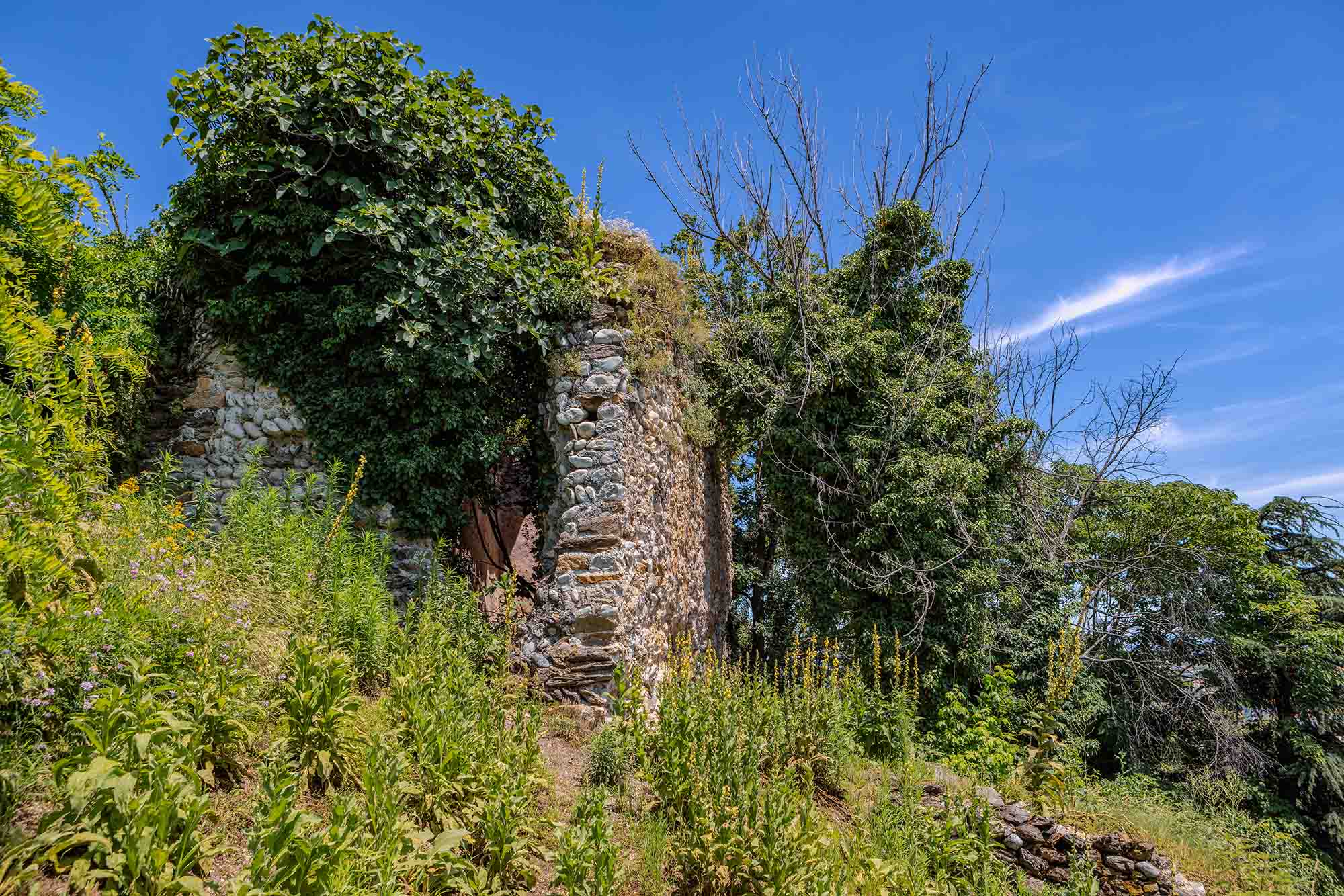 Il Castellaccio e il Parco Francotto